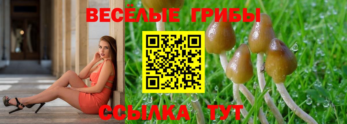 Псилоцибиновые грибы Magic Shrooms Щёлково